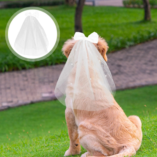 Velo para Perro de Boda